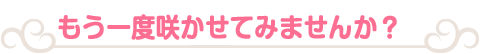もう一度咲かせてみませんか?